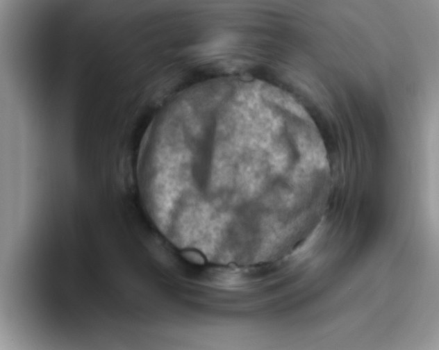 X0000093510182200711091728