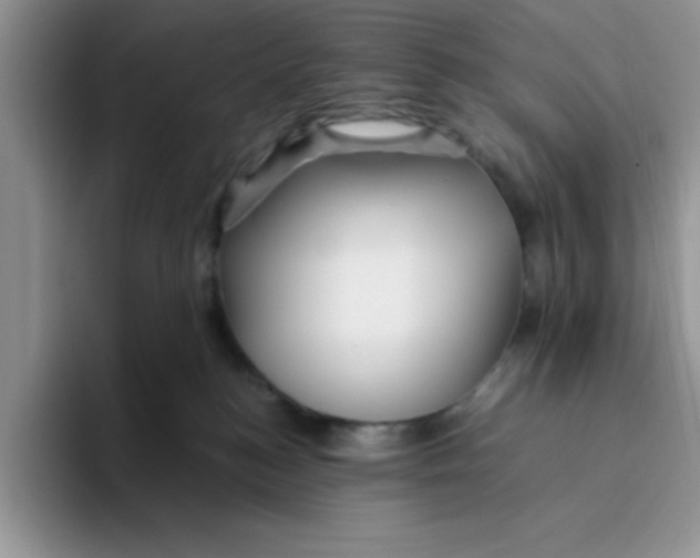 X0000093510184200711091728