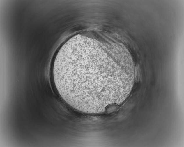 X0000093510195200711091727