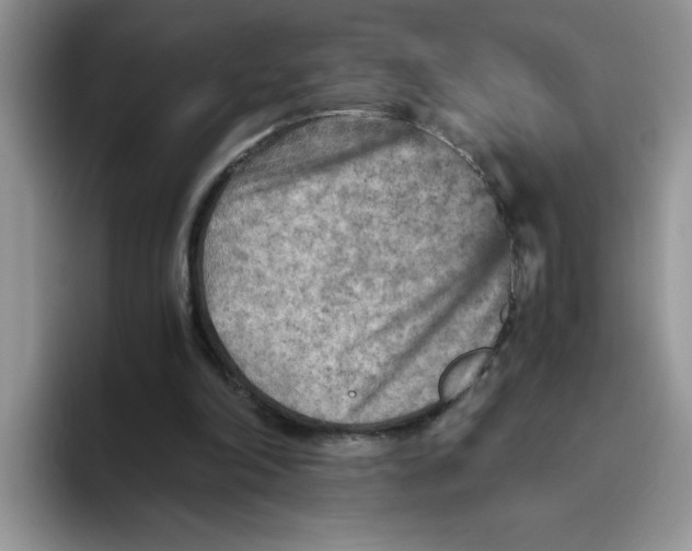 X0000093510198200711091727