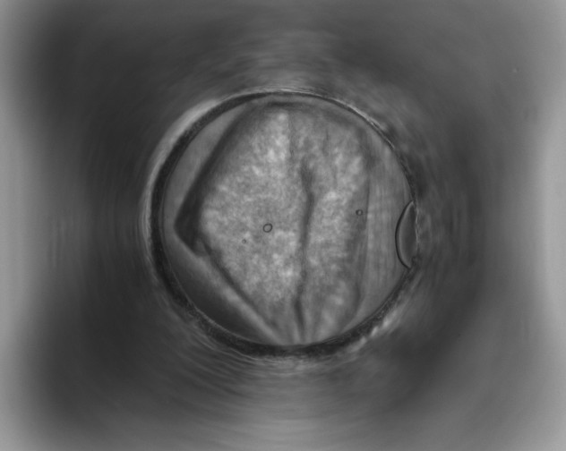 X0000093510200200711091727