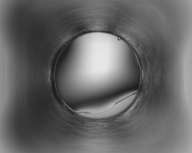 X0000093510201200711091727