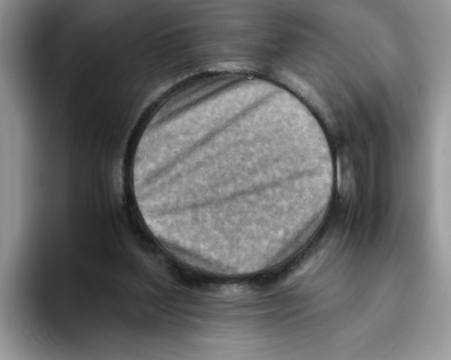 X0000093510204200711091727