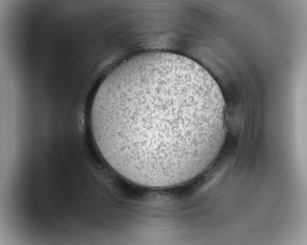 X0000093510207200711091727