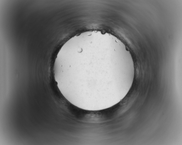 X0000093510211200711091727