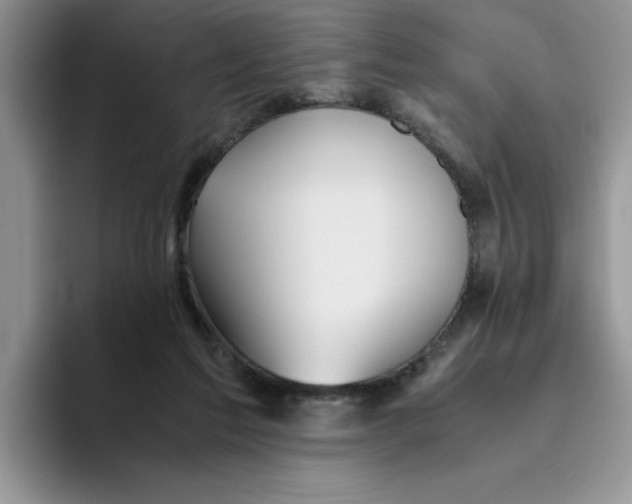 X0000093510213200711091727