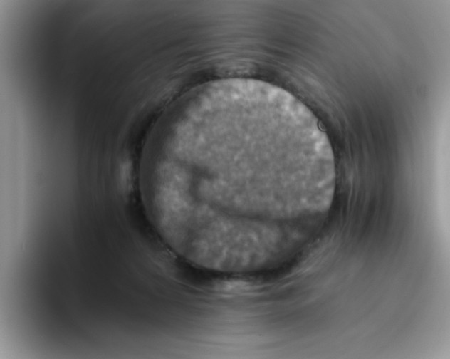 X0000093510224200711091727