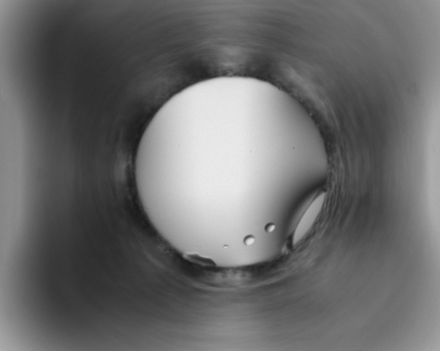 X0000093510225200711091727