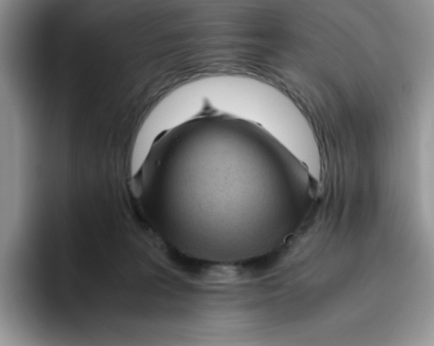 X0000093510227200711091727