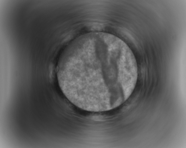 X0000093510228200711091727