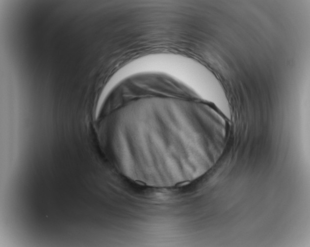 X0000093510229200711091727