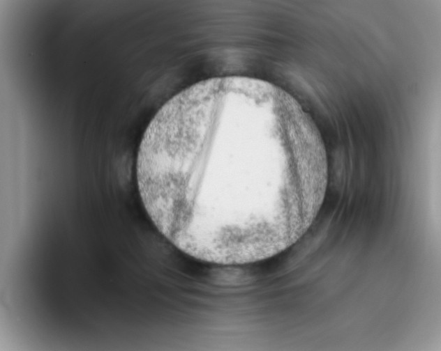 X0000093510230200711091727