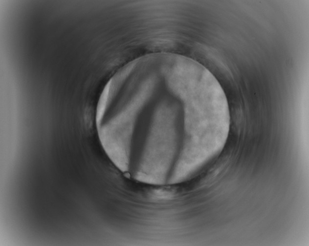 X0000093510232200711091727