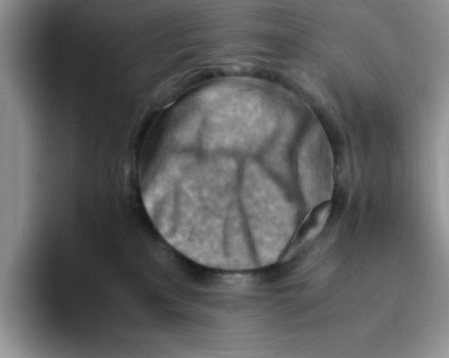 X0000093510233200711091727