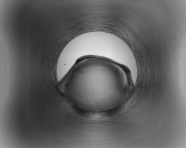 X0000093510235200711091727