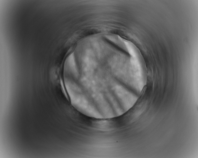 X0000093510237200711091727