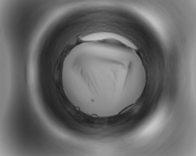 X0000093510239200711091727