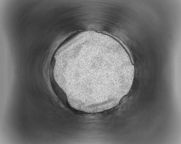 X0000093510241200711091726