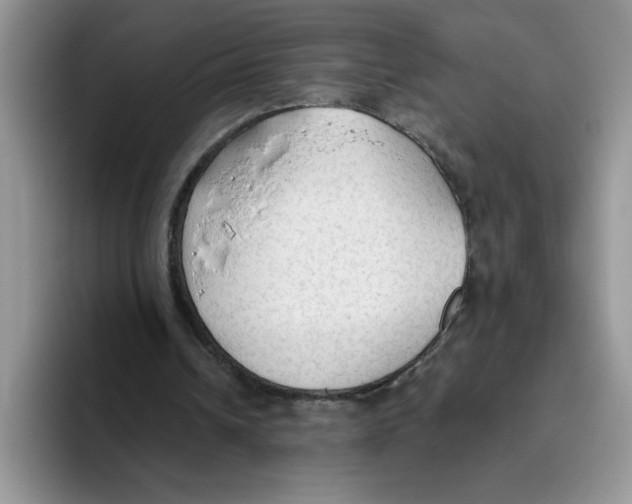 X0000093510242200711091726