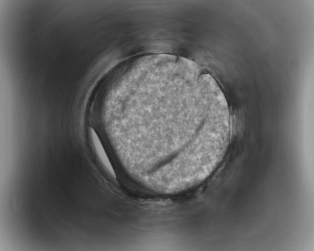 X0000093510243200711091726