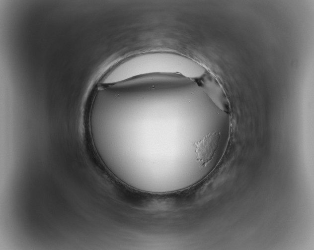 X0000093510248200711091726