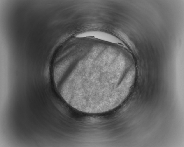 X0000093510250200711091726