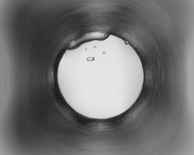 X0000093510254200711091726