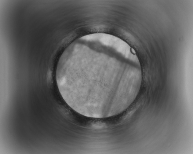 X0000093510258200711091726