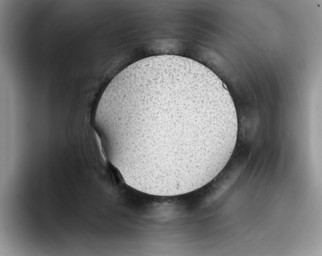 X0000093510259200711091726