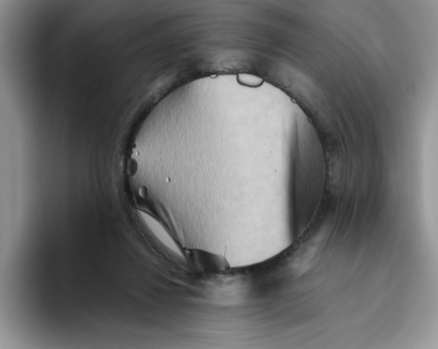 X0000093510260200711091726