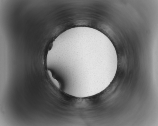 X0000093510261200711091726