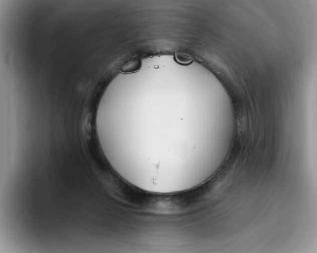 X0000093510264200711091726