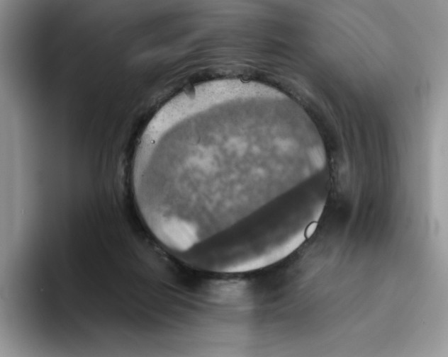 X0000093510266200711091726