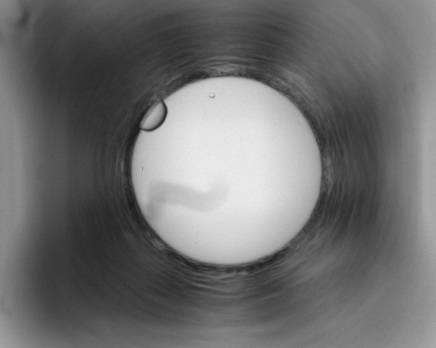 X0000093510267200711091727