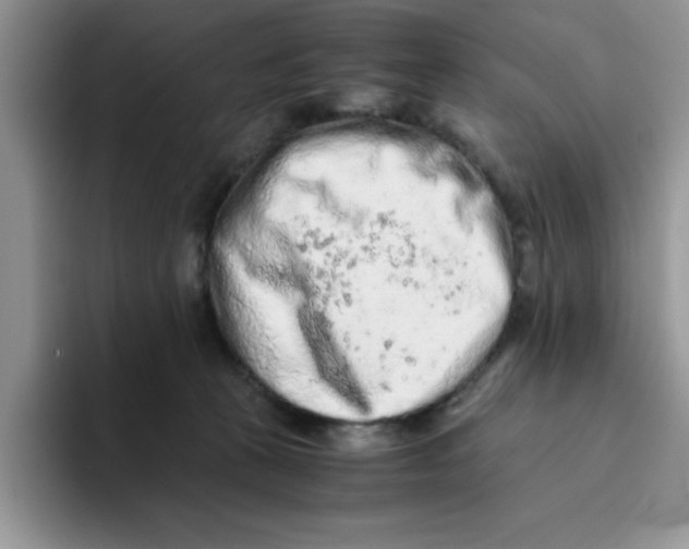 X0000093510273200711091727