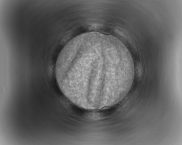 X0000093510276200711091727