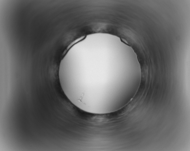 X0000093510280200711091727