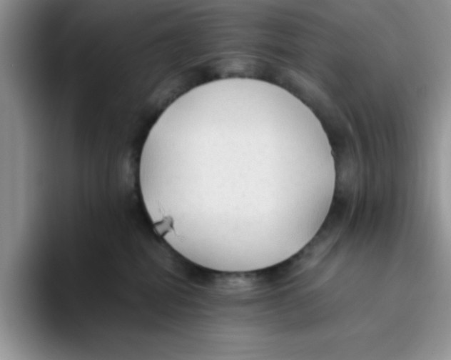 X0000093510282200711091727