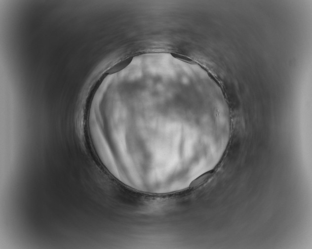 X0000093510293200711091726