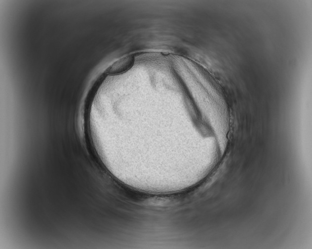 X0000093510294200711091726