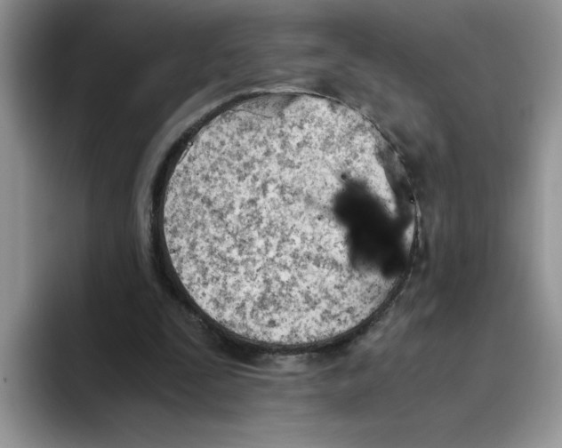 X0000093510295200711091726