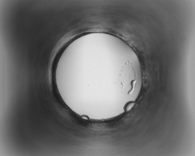 X0000093510296200711091726