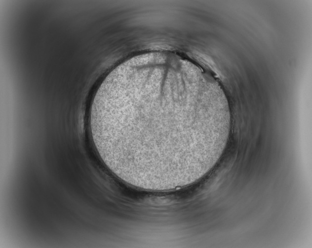 X0000093510299200711091726