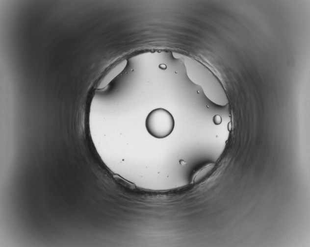 X0000093510301200711091726