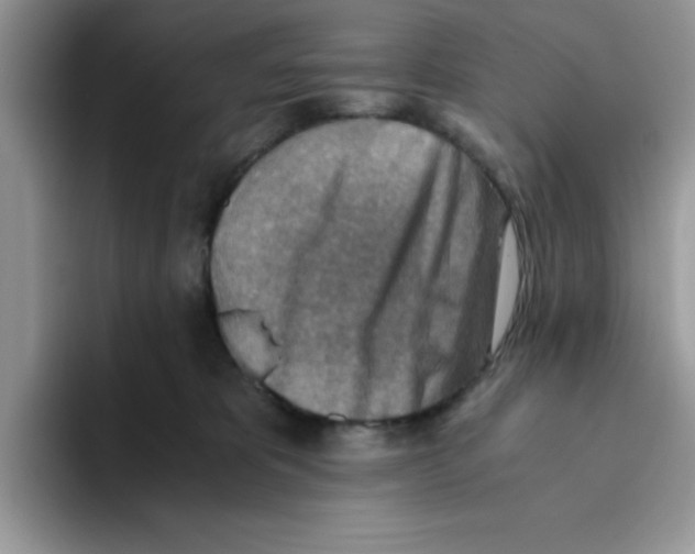 X0000093510325200711091726