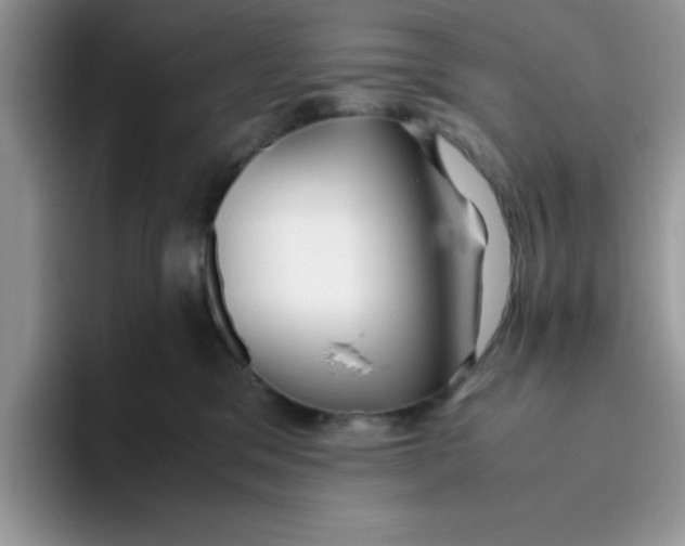 X0000093510329200711091726