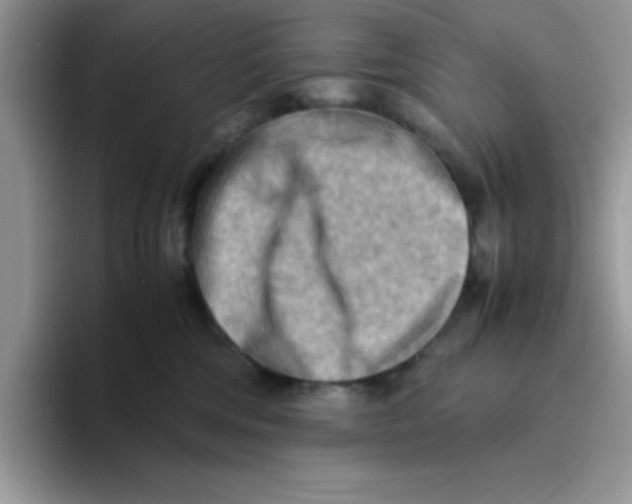 X0000093510330200711091726