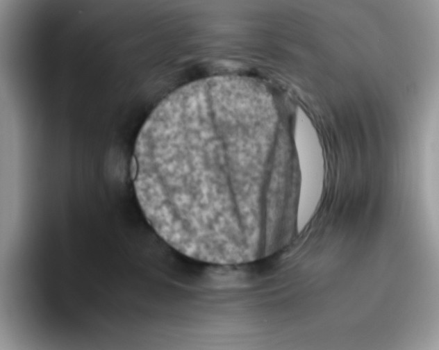 X0000093510331200711091726