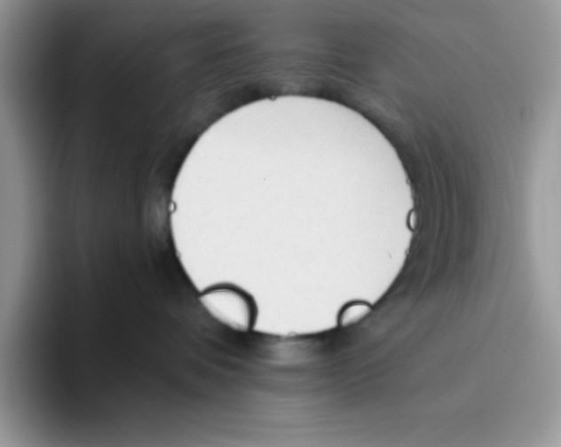 X0000093510336200711091726