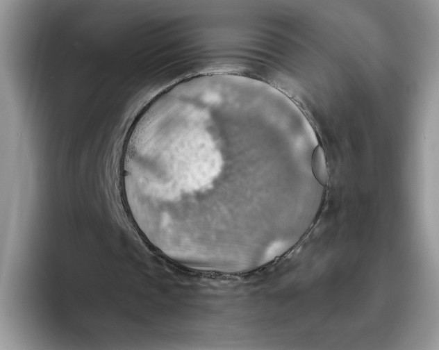 X0000093510337200711091725